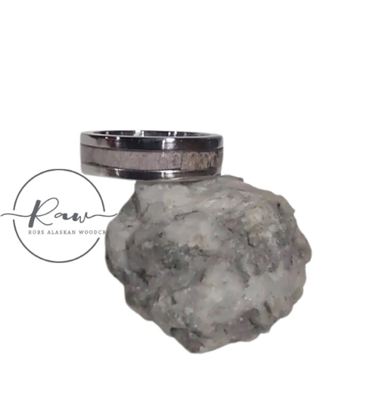 Caribou Antler and Stainless Steel bent wood ring