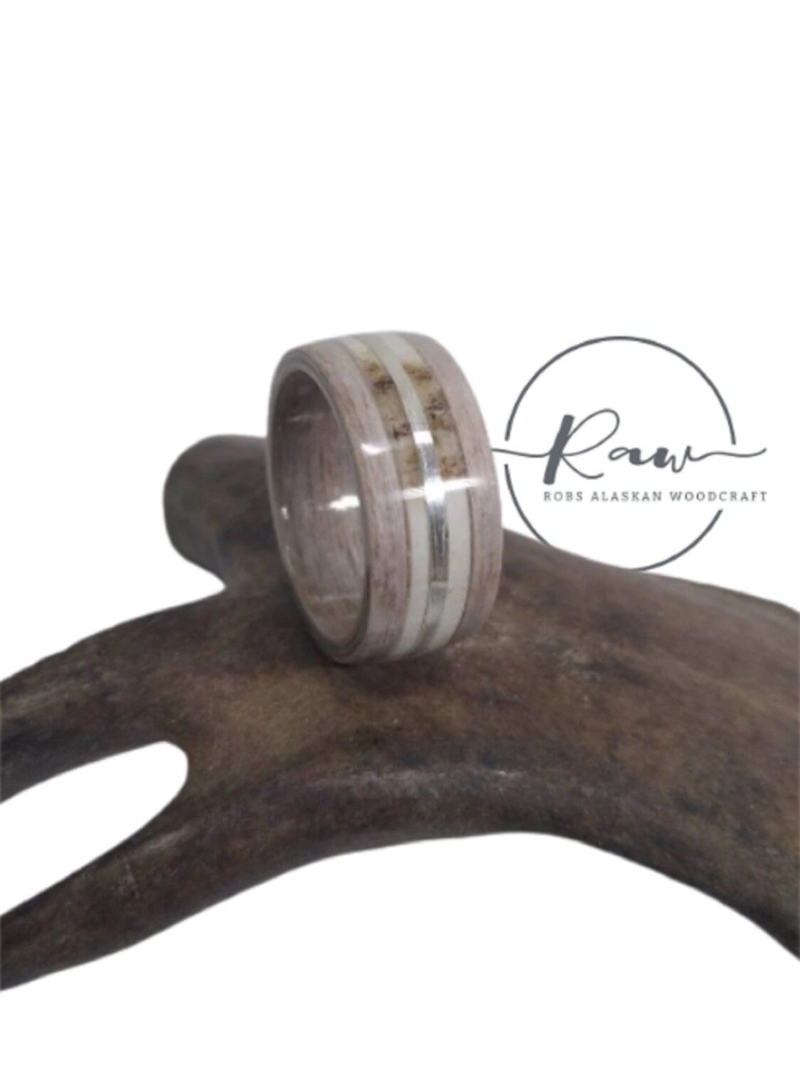 Sand Oak Caribou Antler and Sterling Silver bent wood ring