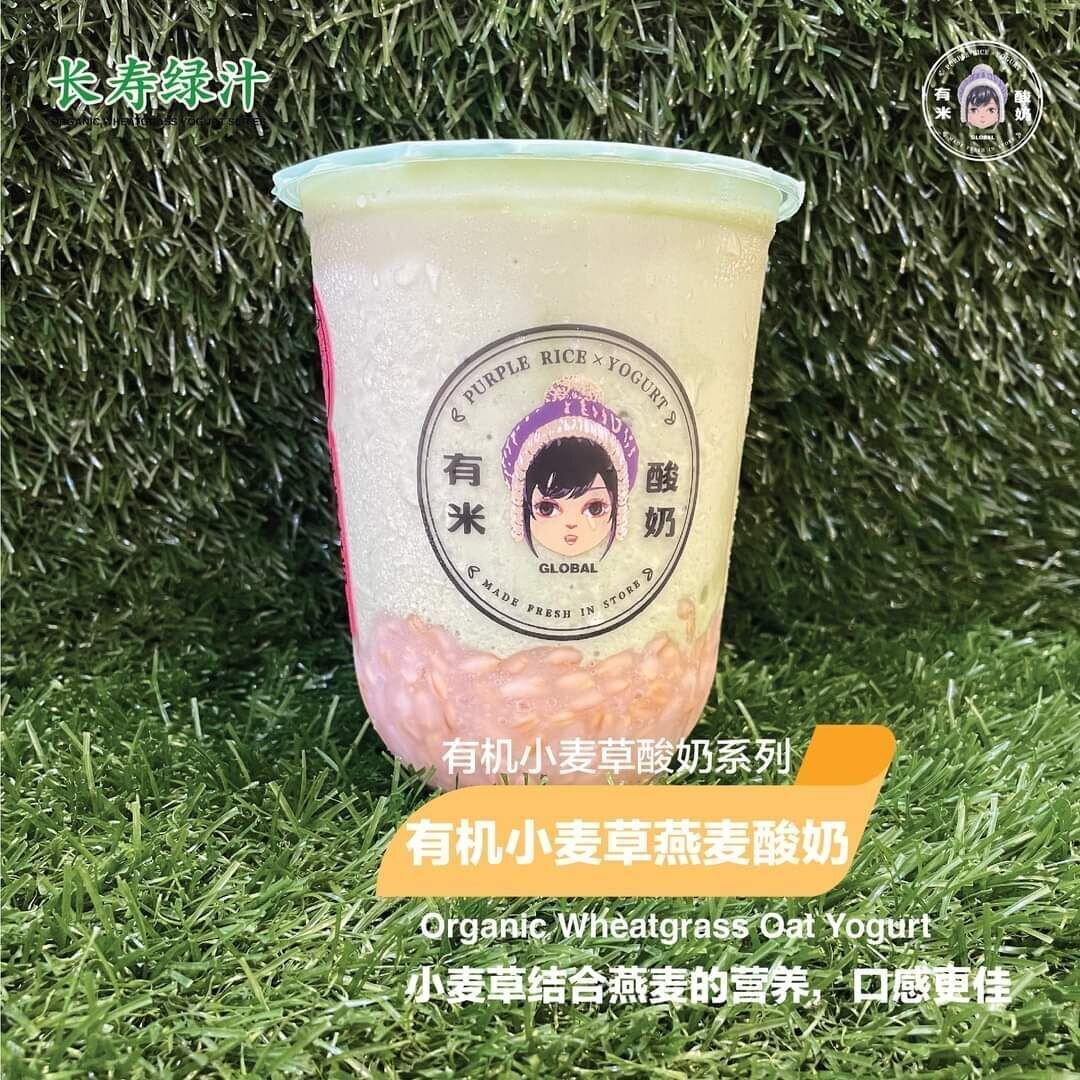 有机小麦草燕麦酸奶 Organic Wheatgrass Oat Yogurt