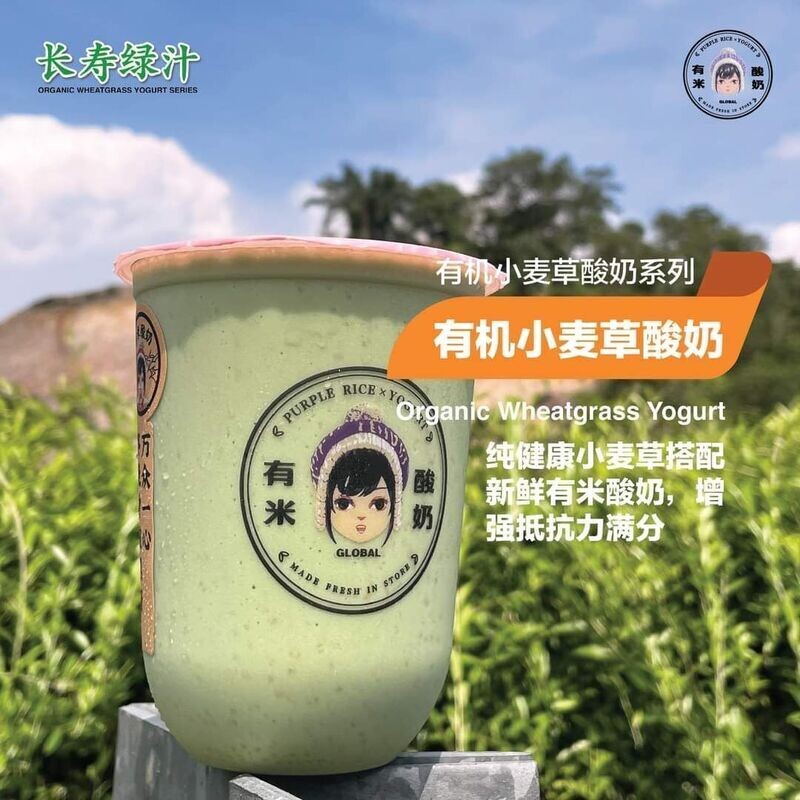 有机小麦草酸奶 Organic Wheatgrass Yogurt