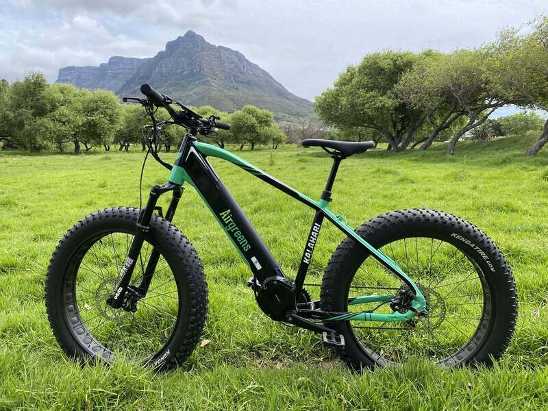 chilled-squirrel-electric-bikes-ebikes-proudly-built-in-south-africa