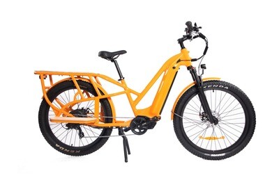 E-CARGO 1