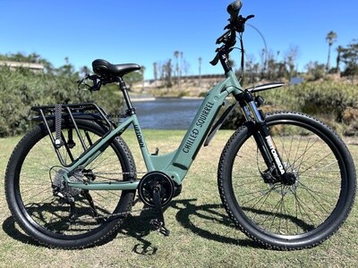 UPTOWN E-Bike