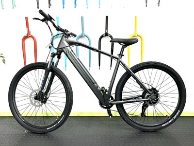 AVALANCHE MTE 29ER