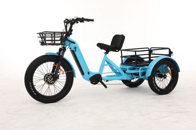 HIPPO ELECTRIC TRIKE