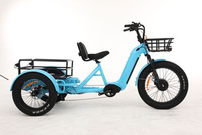 Hippo Electric Trike
