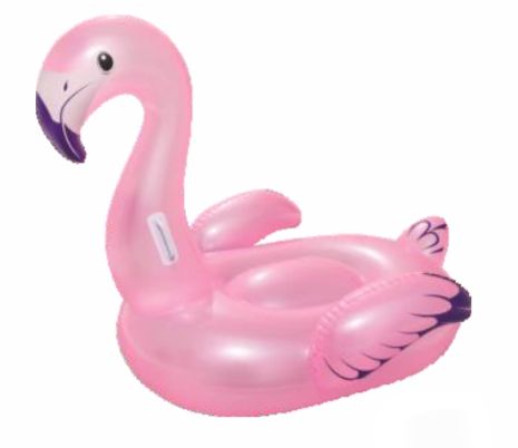 FLAMINGO RIDER