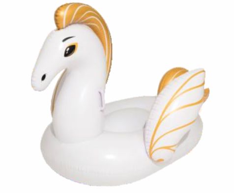 PEGASUS RIDER