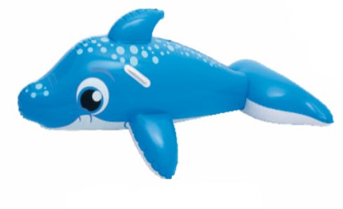 DOLPHIN RIDE-ON