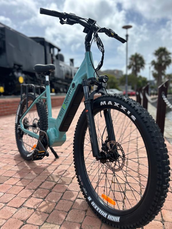 STEP-THRU E-BIKES