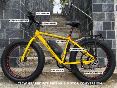 Big Dog Hub Drive Fat E-Bike