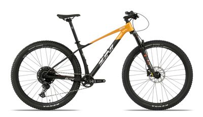ZINI 2025 29er ELITE ELECTRIC MOUNTAIN BIKE