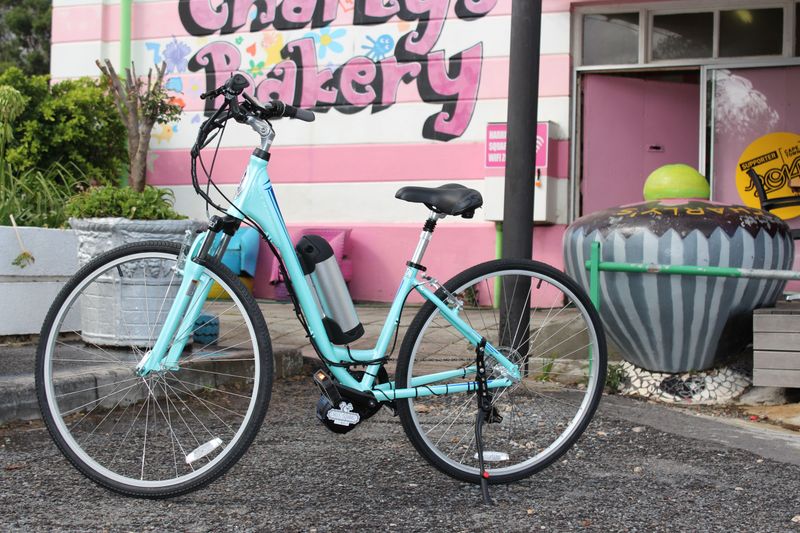SCHWINN EBIKES