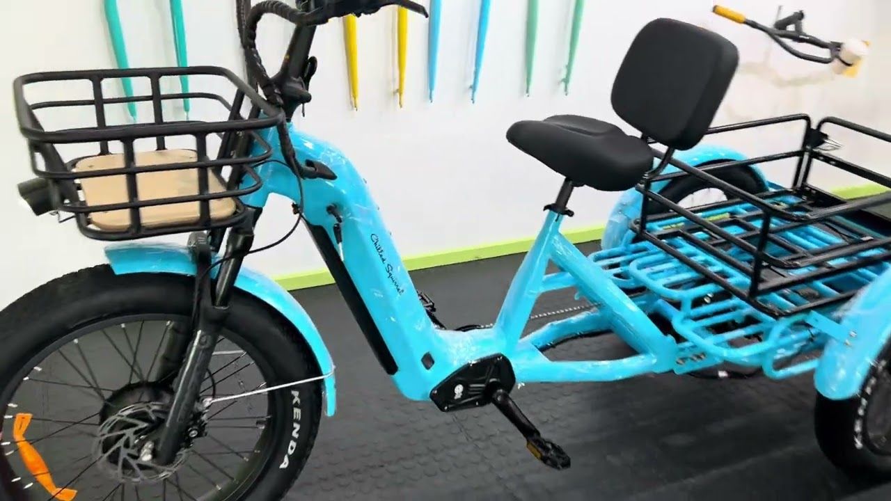HIPPO ELECTRIC TRIKE