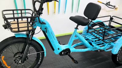 HIPPO ELECTRIC TRIKE
