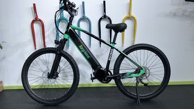BAOBAB EMTB