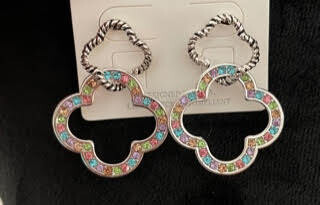 Multicolor Sassy Earrings