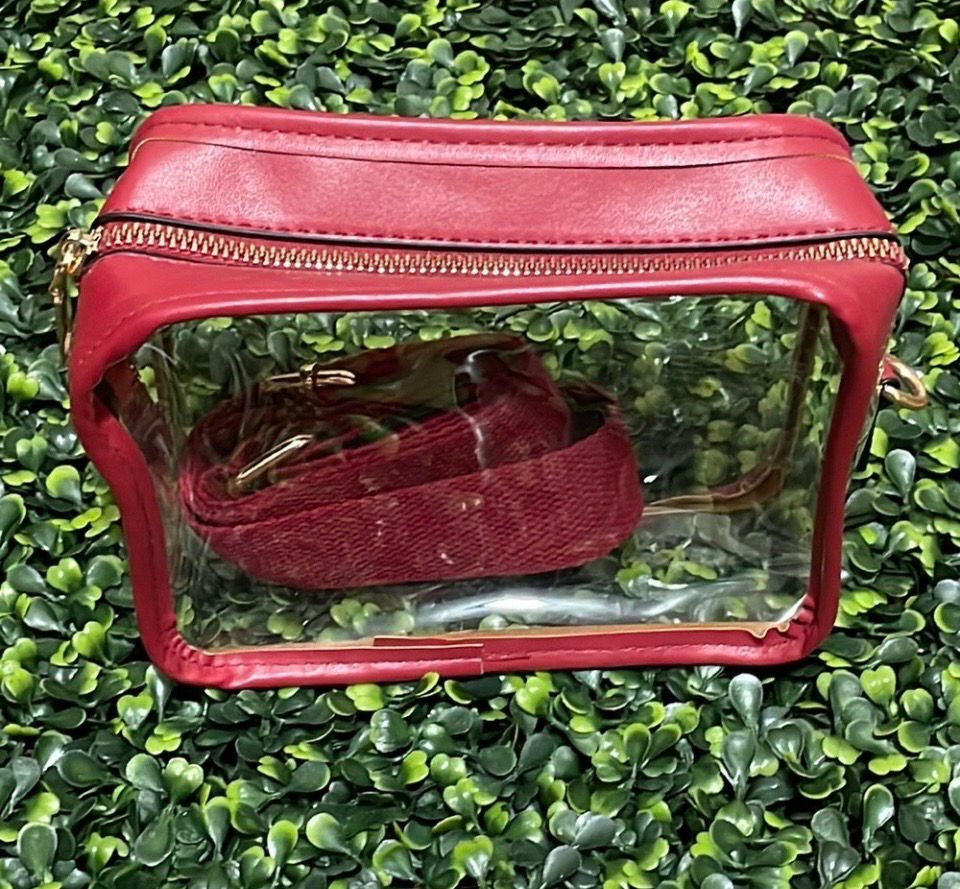 Catherine Clear Crossbody Purse and Detachable Purse Strap