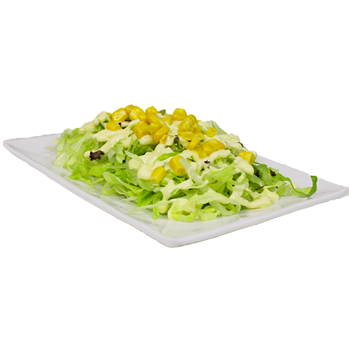 Vegetarisch salade