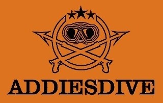 ADDIESDIVE