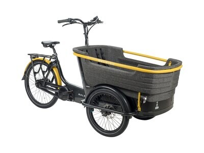 Raleigh Stride 3 Electric Cargo Trike