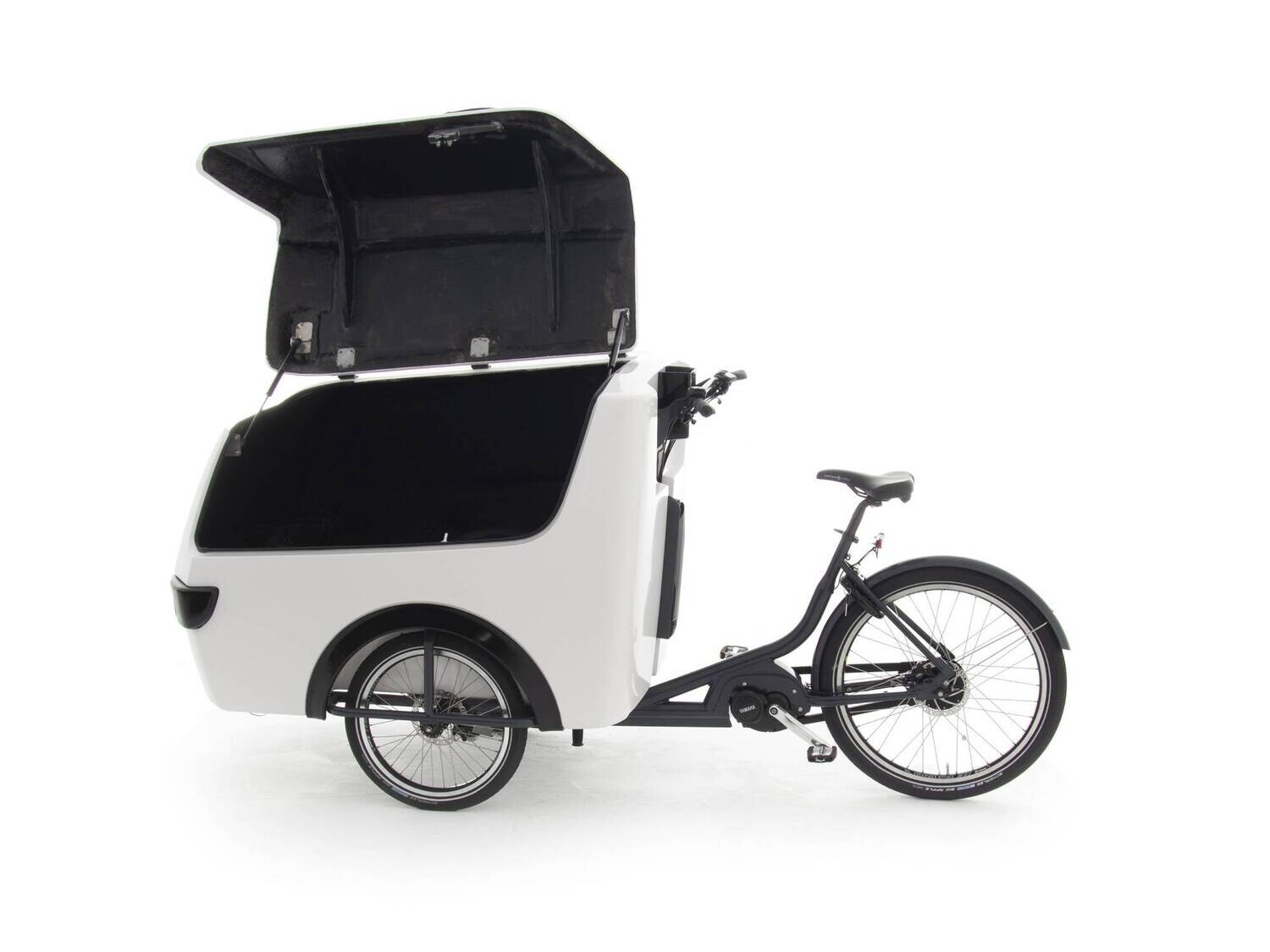 Raleigh Pro Electric Cargo Trike