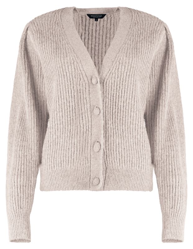 Bloomings V neck cardigan FCS balloon slv Moon mel SLK347-8537