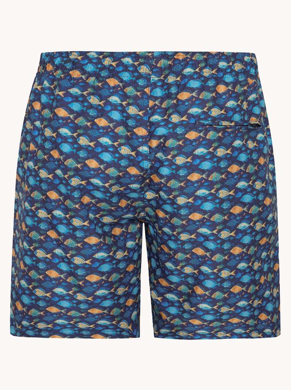 A fish named Fred Swimshort fish Navy 31.256