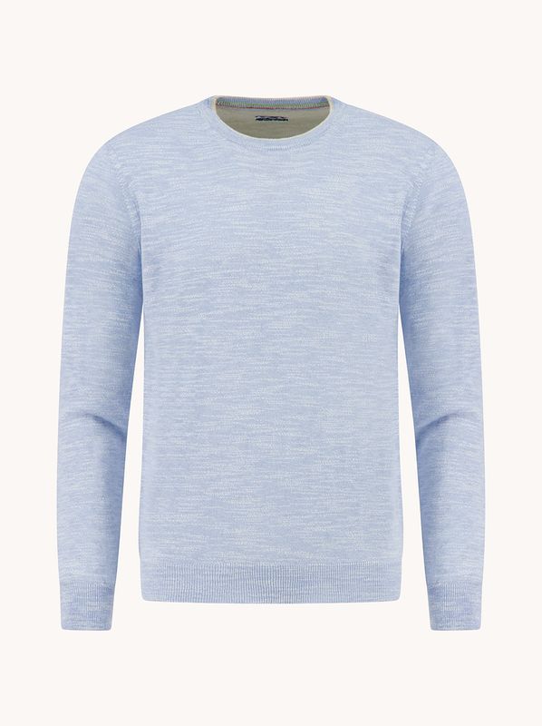 Herenmode-A-fish-named-Fred-pullover-Freds-Art-Gallery-pasvorm