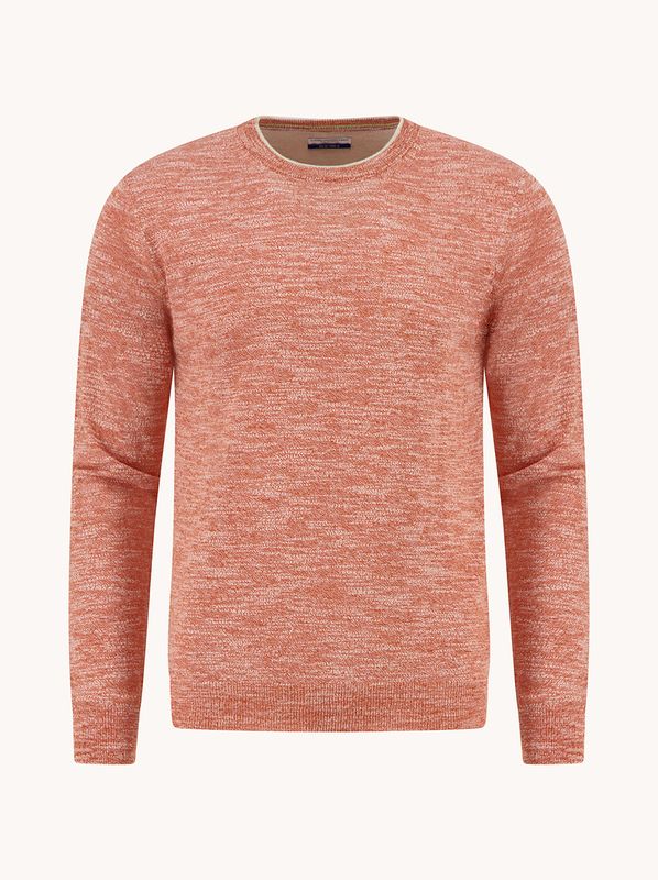 Herenmode-A-fish-named-Fred-pullover-Freds-Art-Gallery-pasvorm
