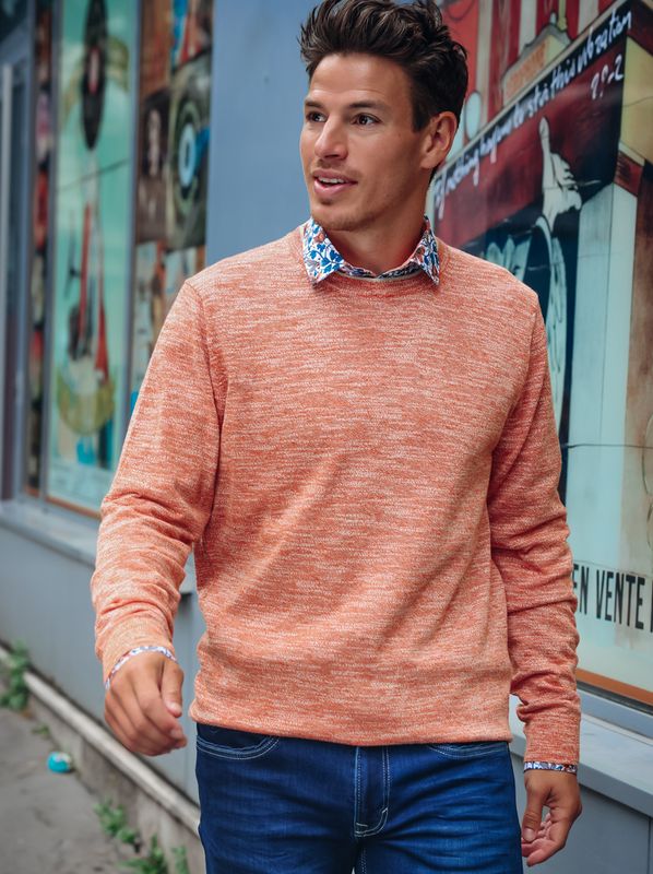 A-fish-named-Fred-classic-pullover-orange-oranje-33501-Lendi