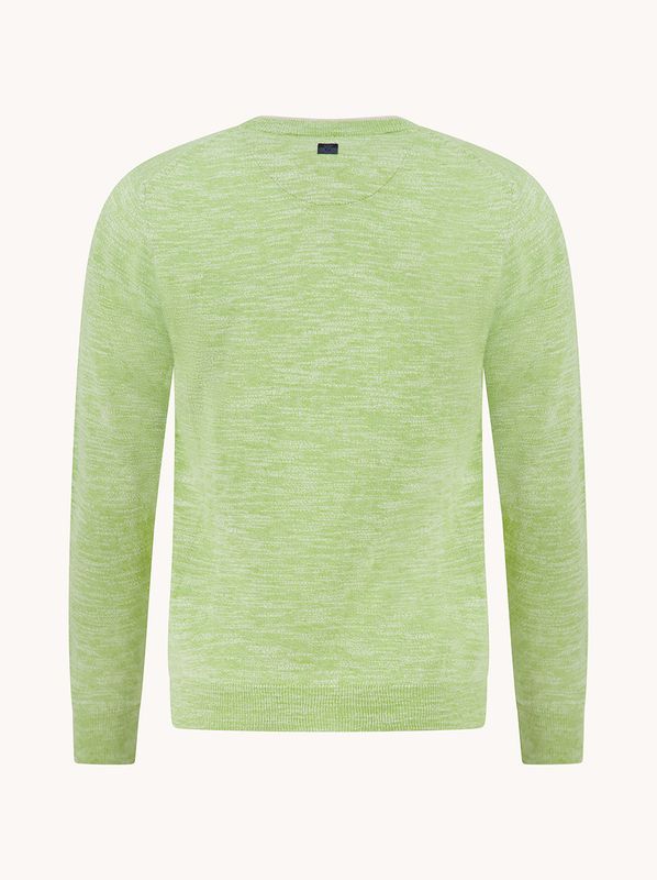 Herenmode-A-fish-named-Fred-pullover-Freds-Art-Gallery-pasvorm