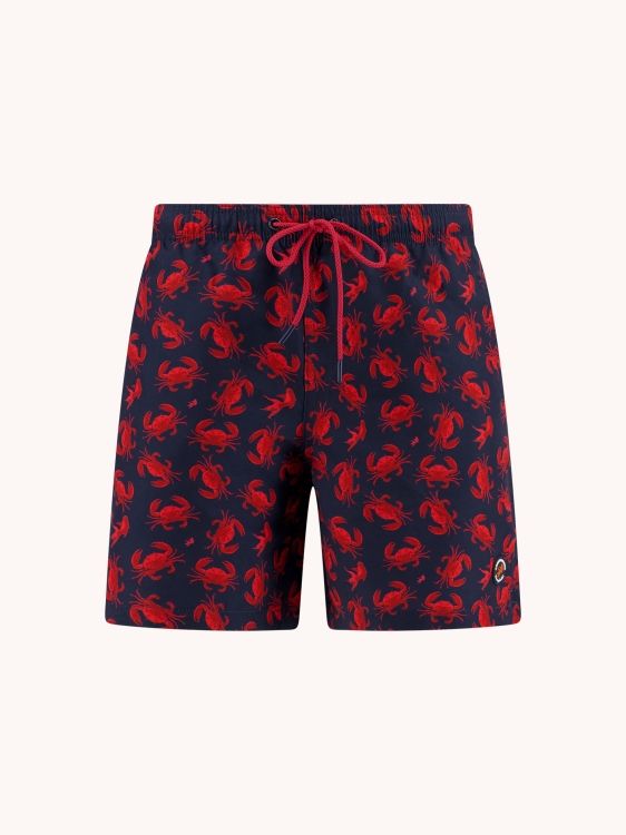 A fish named Fred Swimshort crabs (boy) Navy 33261