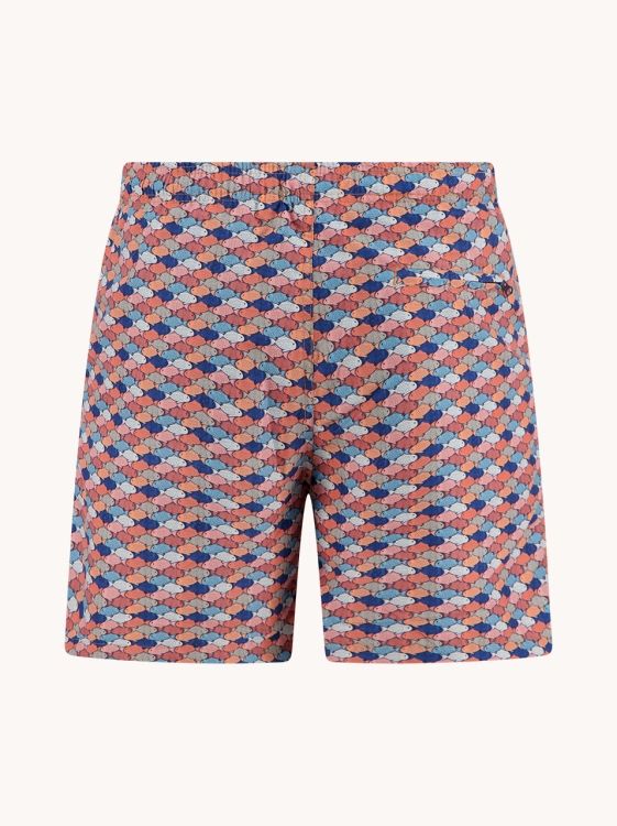 A fish named Fred Swimshort graphic fish Multicolor All Color 33.253