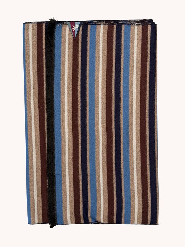 A fish named Fred Scarf stripe Multicolor Blue 34.265