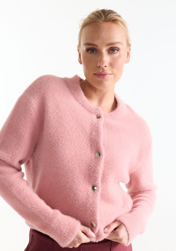 Jansen Amsterdam CLOE VEST p 205 long sleeve button c 000331 - old rose CLOE W26