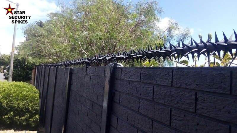 DIY Wall Spikes :1m Single Row DIY Kit: Concrete Walls