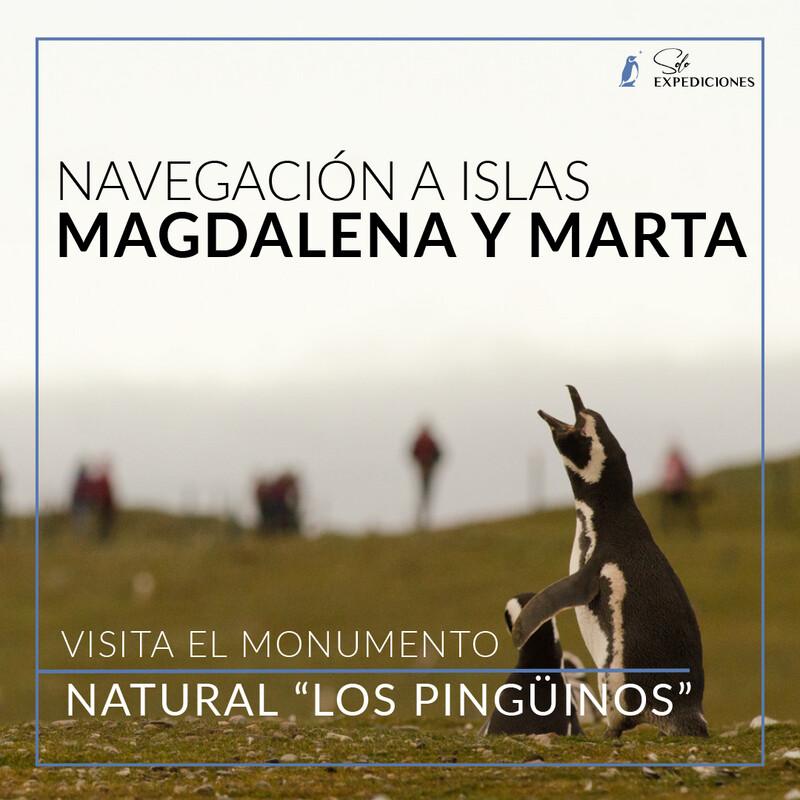 Navegación Islas Magdalena y Marta
