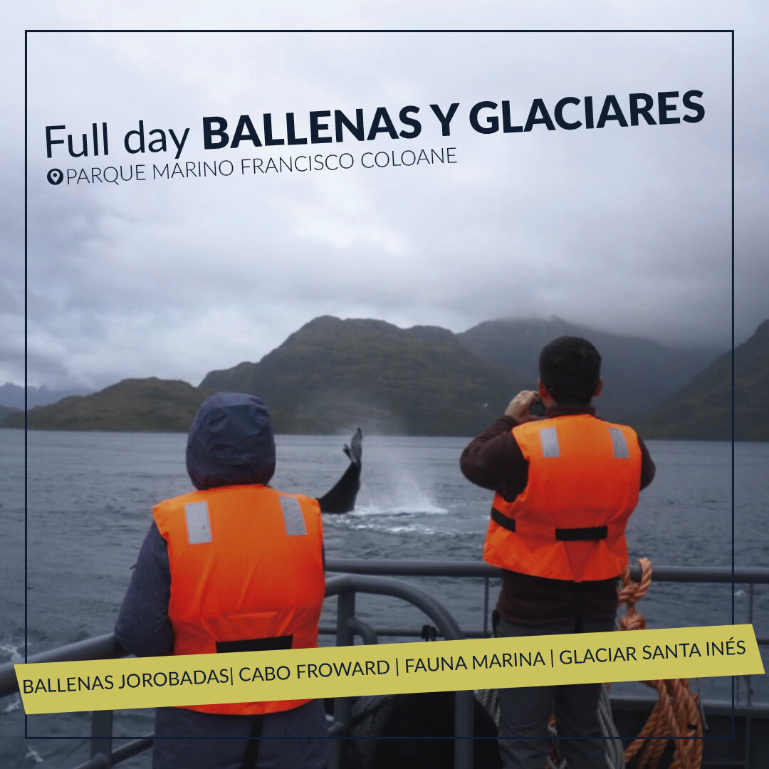 Full day Ballenas y Glaciares