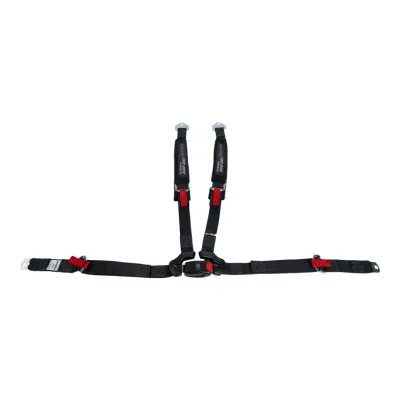 4-Point Harness - Passenger