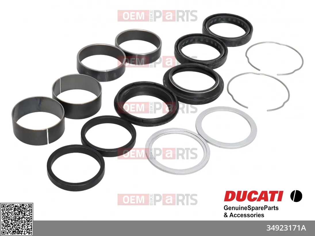 Fork oil seal (Complete fork overhaul kit)