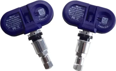**DISCONTINUED* BLU TPMS 2 PC INT SET 100PSI **DISCONTINUED* BLU TPMS 2 PC INT SET 100PSI