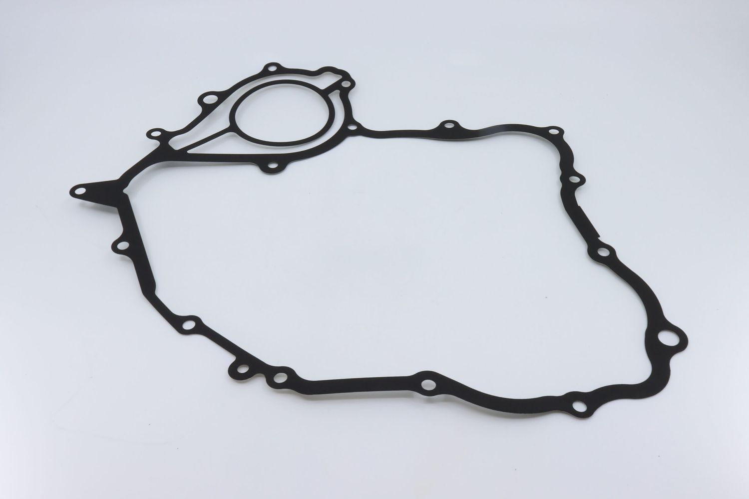 GASKET, LEFT SIDE COVER GASKET, LEFT SIDE COVER