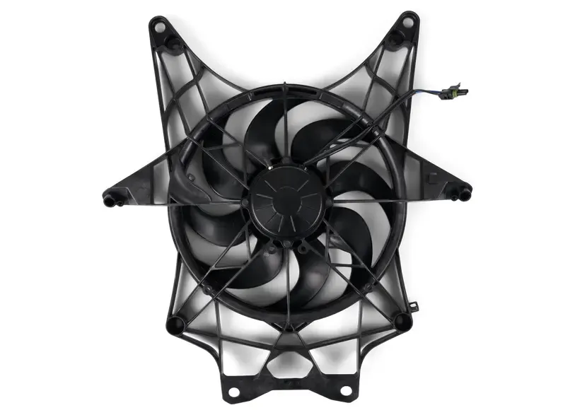 FAN ASS Y