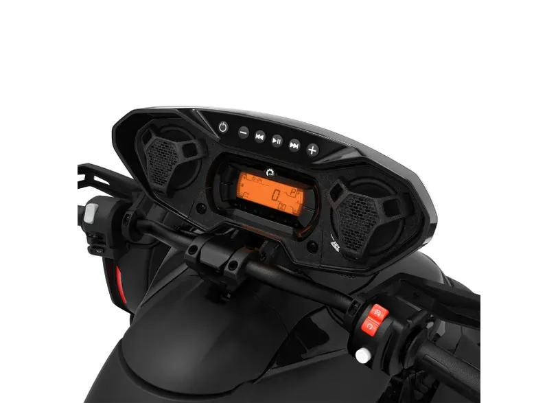 RYKER SYSTEM_AUDIO BLUETOOTH KIT RYKER SYSTEM_AUDIO BLUETOOTH KIT
