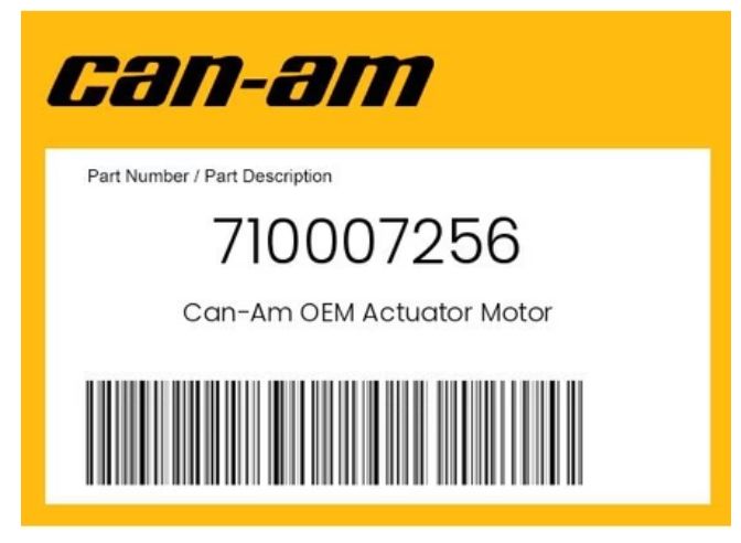 MOTOR_ELECTRIC MOTOR_ELECTRIC