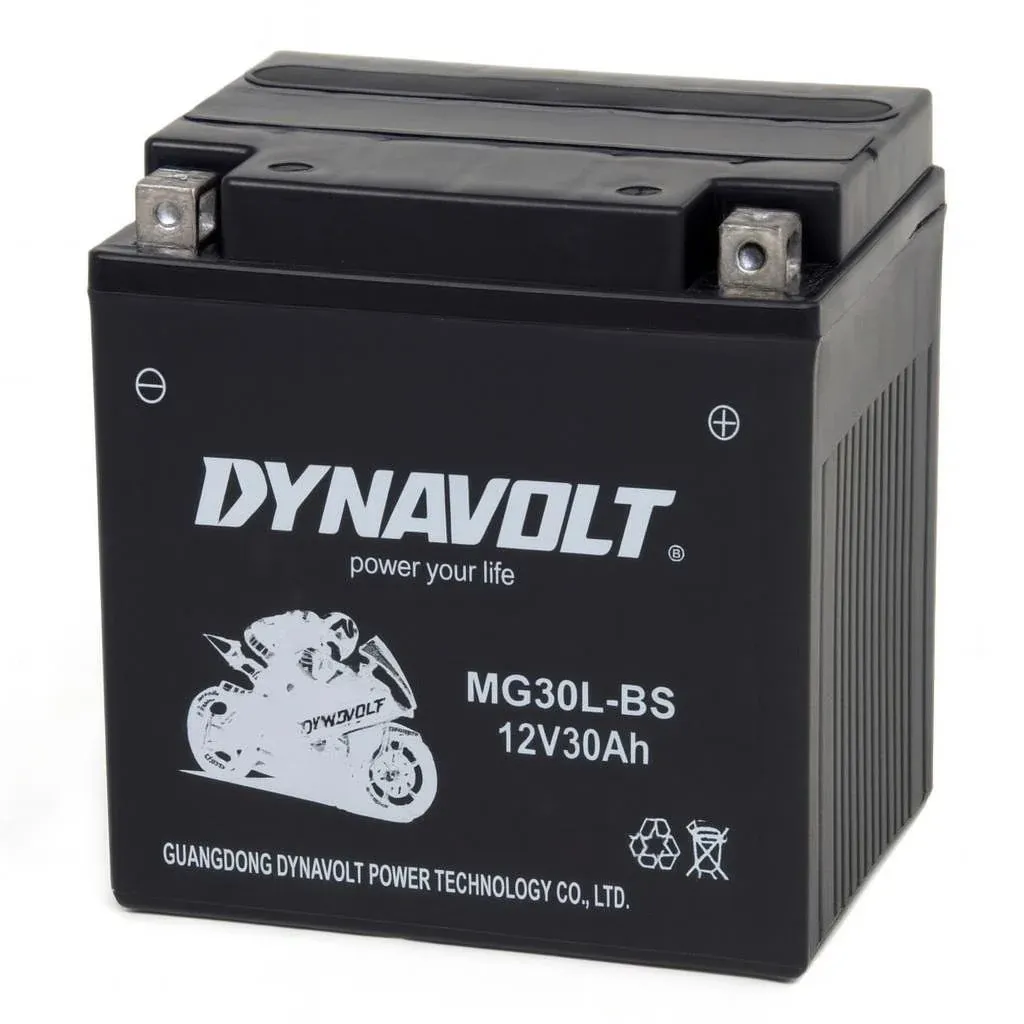 12v30ah BATTERY Dynavolt