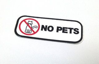 NAME PLATE STICKER (PIAGGIO) NAME PLATE STICKER (PIAGGIO)