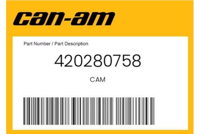 CAM CAM