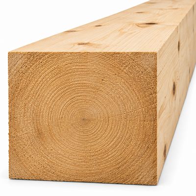 12" X 12" (300mm X 300mm) C24 Black Forest German Timbers